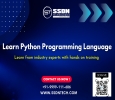 Join The Best Python Training in Gurgaon